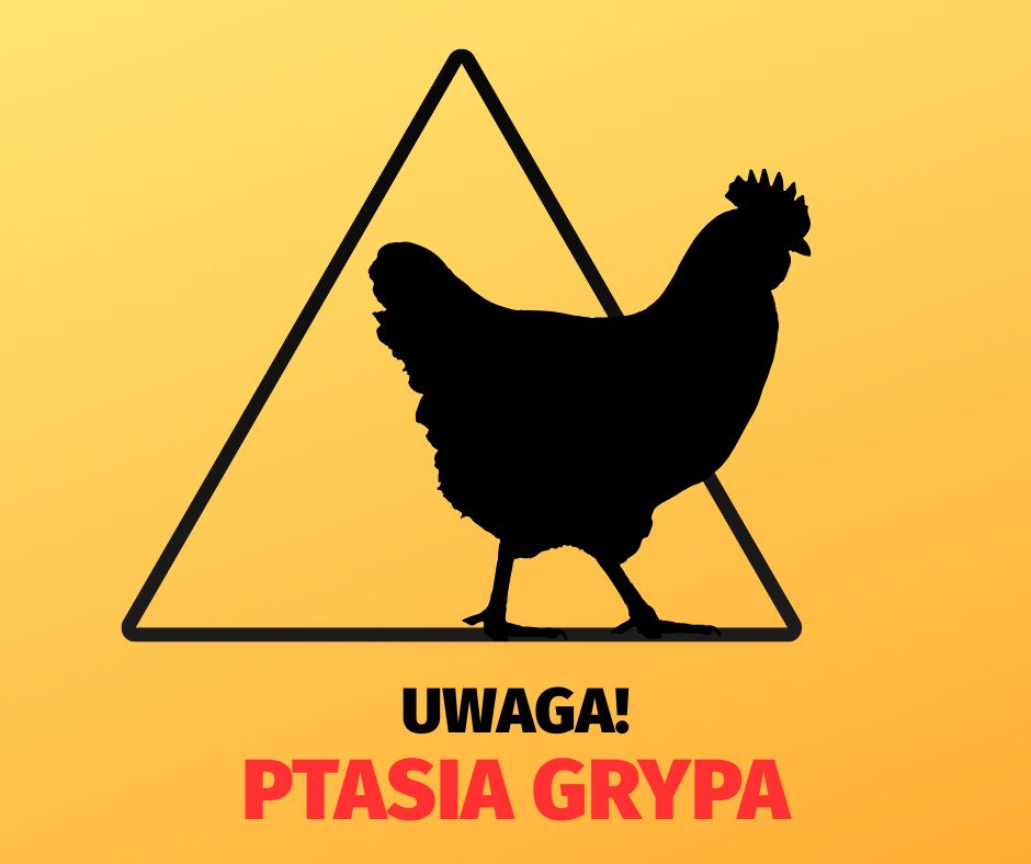 Przeciwdziałanie rozprzestrzenianiu się wysoce zjadliwej grypy ptak&oacute;w (HPAI) na terenie powiatu dzierżoniowskiego, powiatu kłodzkiego oraz powiatu świdnickiego